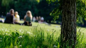 First&nbsp;Summer Picnic&nbsp;in Carlow to take place this summer with family fun day&nbsp;and live music

