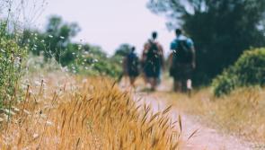 Calling all Carlow hikers! Hike your way to the top of Lugnaquilla in aid of Peter McVerry Trust

