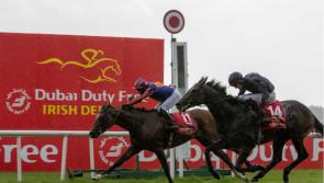 RACING: Your guide to Friday’s Irish Derby action at the Curragh