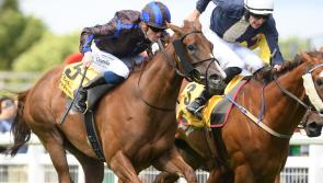 Big wins for Jim Bolger and Joseph O'Brien on Derby day at the Curragh