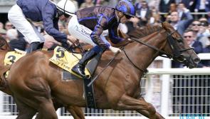 Billy Lee delivers perfectly-timed Dash challenge at the Curragh