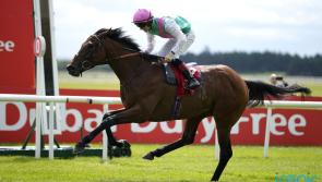 Epsom third Westover strikes gold at the Curragh
