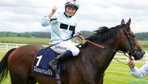 'He was really tough' - Marquand has high hopes for a big run from Alenquer