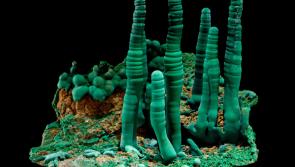 REVEALED: The origins and diversity of every known mineral on Earth