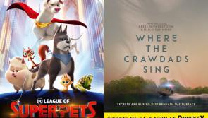 Tickets now on sale for two Summer blockbusters at Carlow Omniplex this month - news and trailers