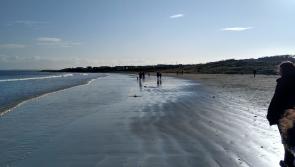 Water Safety Ireland issues appeal to Carlow public after tragic drownings