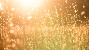 CARLOW WEATHER: Mostly dry today with possible showers expected later 