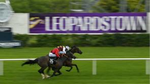 RACING: Your guide to Thursday’s excellent card at Leopardstown