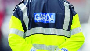 Online fraud and burglaries on the rise in Carlow according to latest crime figures