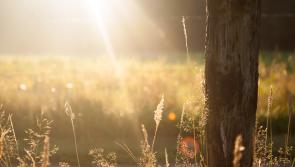 CARLOW WEATHER: Largely dry today with some isolated showers possible