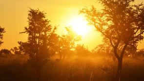 National Parks & Wildlife Service appeal to Carlow public on high fire risk warning 