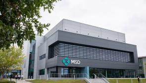 100 new highly skilled jobs to be created in Carlow