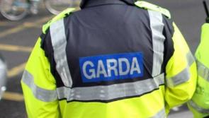 Gardaí appeal for witnesses following assault incident at Electric Picnic
