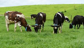 Cost of fertiliser and feed prices continue to soar for agriculture industry in Carlow