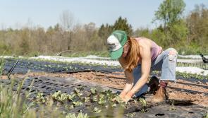 National Conference on Women in Agriculture to take place

