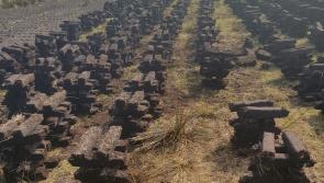 Carlow land owners warned over failure to stop turf cutting on protected bogs
