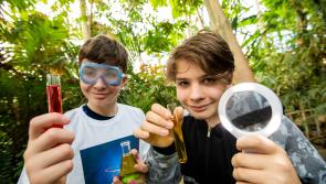 Carlow students invited to compete for EirGrid climate award

