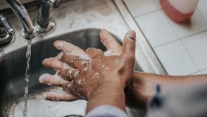 Pandemic improves Carlow hand hygiene habits, research reveals