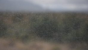 CARLOW WEATHER: Long dry spells with patchy drizzle