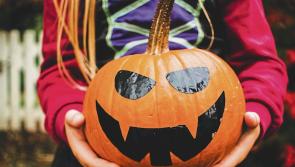 Visual Carlow to host free family fun day this Halloween