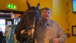 WATCH: Carlow trainer Shark Hanlon brings Hewick for a pint to celebrate US Grand National heroics