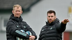 IN PICTURES: Leinster Rugby open training session in Carlow