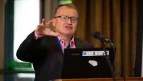 Opportunity for Carlow businesses to learn about growth strategies for 2023