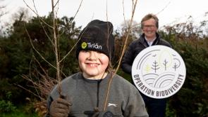 Operation Biodiversity targets planting of trees and hedgerows in Carlow