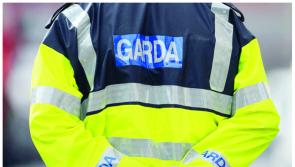 Carlow gardaí investigating theft of machine equipment