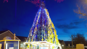Carlow Rotary Club's Tree of Remembrance charity fundraiser raises €9000