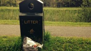 Carlow classed  'clean' in litter league despite low ranking