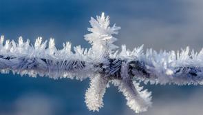 Met Eireann issues ice warning for Carlow  with 'hazardous travelling conditions' expected