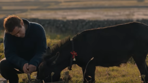 New to the parish - Beloved donkey from award-winning film becomes Carlow resident
