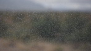 CARLOW WEATHER: Cloudy with patches of mist and drizzle today (Jan 21)