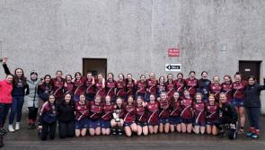 Carlow school crowned Leinster champions