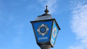 Carlow gardaí investigating after car set on fire 