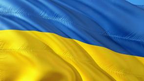 Number of Ukrainian students in Carlow schools confirmed