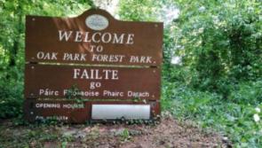Forest amenity in Carlow to close to allow surfacing works