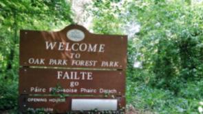 Carlow Oak Park receives huge funding for mini basketball court