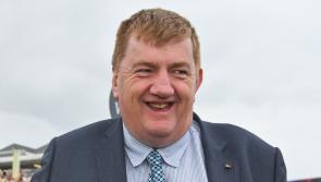 2023 Grand National: Weights revealed for entries trained by Carlow's John 'Shark' Hanlon