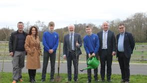 Government Minister puts down roots in Carlow school