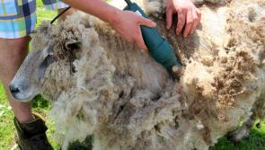 'Law is constantly changing' - Carlow farmers advised to be aware of employment rules