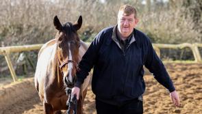 Hanlon and Hewick gearing up for today's Cheltenham Gold Cup