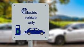Grant for electric vehicles to be cut this summer 