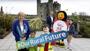 Is Ireland's tidiest town in Carlow? Tidy Towns competition returns for 65th year