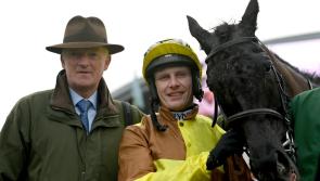 Carlow homecoming: Willie Mullins says Gold Cup champ has 'answered' every question asked of him
