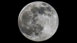 New source of water found in moon samples from space mission