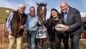 Big entries and big announcements for Irish EBF Ballyhane (Carlow) Stakes Day at Naas