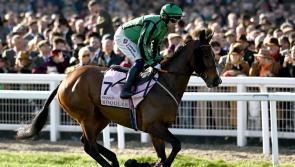 Carlow trainer John 'Shark' Hanlon commits Hewick to Punchestown Gold Cup field