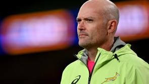 South Africa Head Coach to join Leinster after the Rugby World Cup